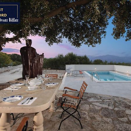 Villa Dubrava Tranquil Retreat Nestled In An Olive Grove For Serene Escapes Pucisca Exterior foto