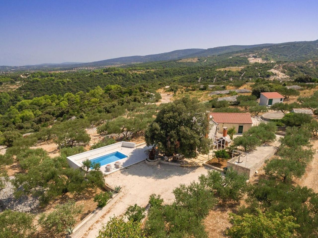 Villa Dubrava Tranquil Retreat Nestled In An Olive Grove For Serene Escapes Pucisca Exterior foto