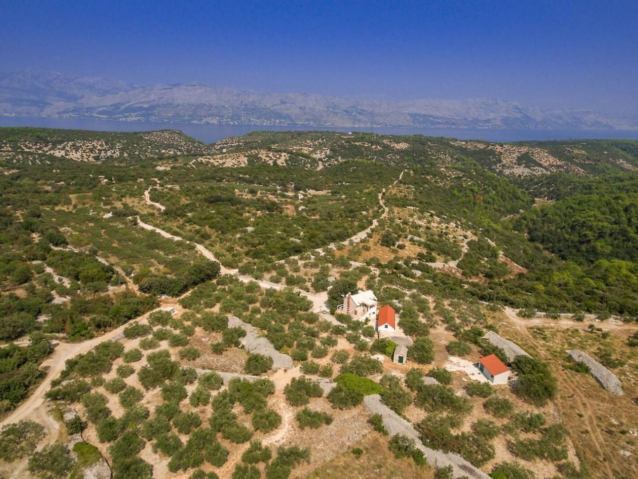 Villa Dubrava Tranquil Retreat Nestled In An Olive Grove For Serene Escapes Pucisca Exterior foto